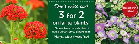 Buy Plants, Seeds, Fruit Trees & Seed Potatoes | Thompson & Morgan