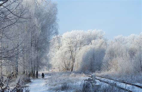 Premium Photo | Winter frosty landscape in the early morning