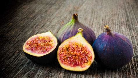 The Symbolism of Figs in the Bible - ONE FOR ISRAEL Ministry