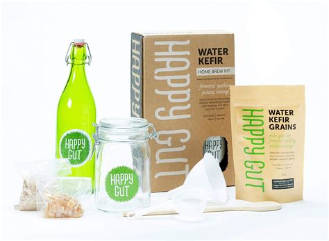 Water KEFIR STARTER KIT By Happy Gut- Includes water kefir grains ...