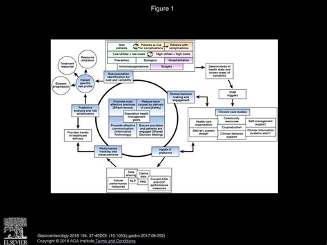 Population Health Management for Inflammatory Bowel Disease - ppt download