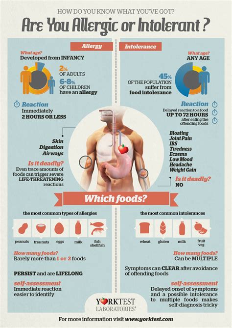 How do you know if you have an allergy or are intolerant? – Family Friendly Working