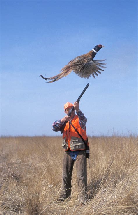 MONTANA BIRD BUGABOOS!!! - Montana Hunting and Fishing Information