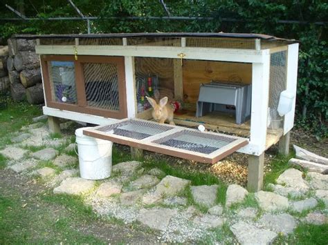 Build a rabbit hutch and tractor – Artofit