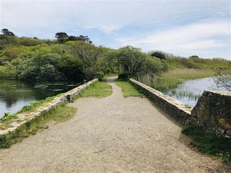 How To Visit Bosherston Lily Ponds And Walk To The Beach