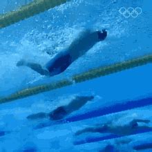 Butterfly Stroke Swimming GIF - Butterfly Stroke Swimming Swimmer ...