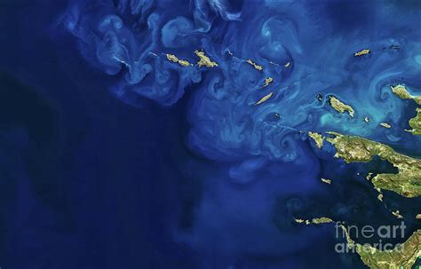 Phytoplankton Bloom Photograph by Nasa/science Photo Library - Fine Art ...