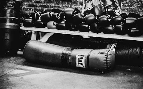 Download Free Boxing Gloves Wallpaper | PixelsTalk.Net