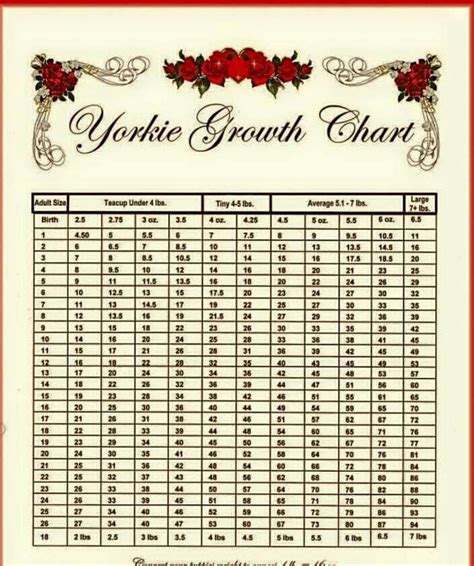 Yorkie Weight Chart Calculator - CALCULATOR GHW