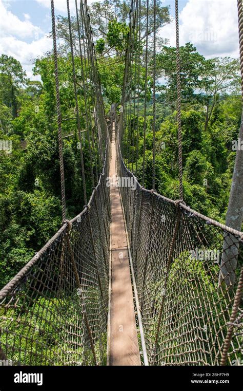 Kakum National Park Canopy Walk