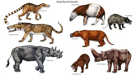 Prehistoric animals, Ancient animals, Extinct animals