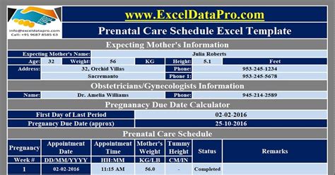 Download Prenatal Care Schedule Excel Template - ExcelDataPro