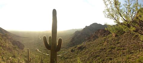 Tucson Mountain Park | Recreation Management