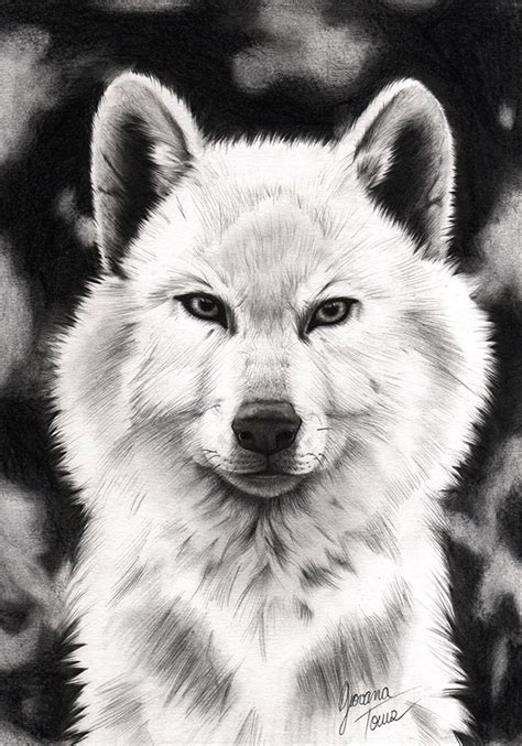 Graphite Animals on Behance