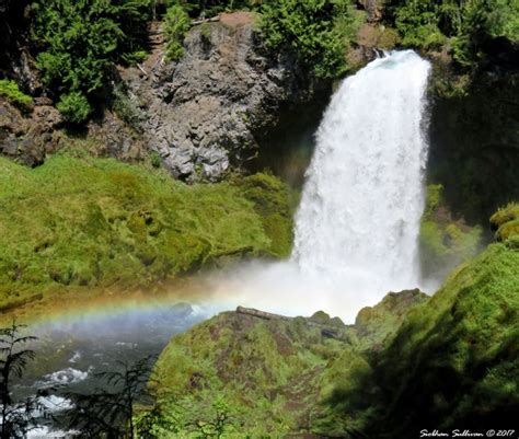 The wonder of Sahalie Falls - bend branches