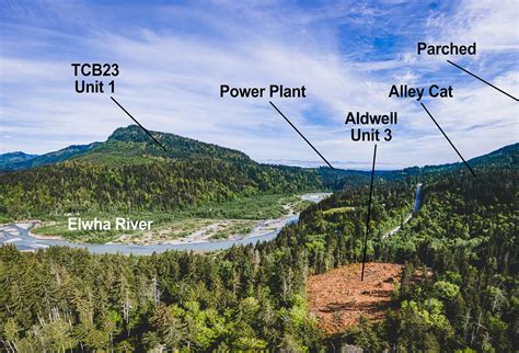 TCB23 and Power Plant - Elwha Legacy Forests