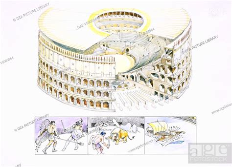 Colosseum Diagram