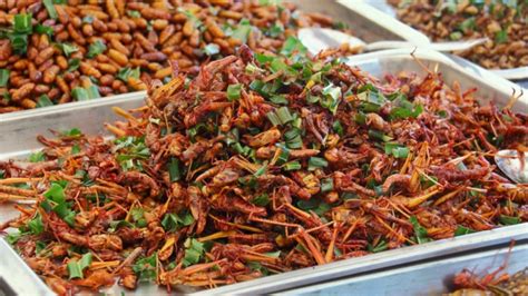 Insects: Food of the future?