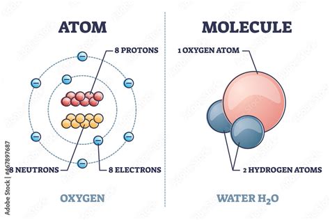 Atom vs molecule structural differences with oxygen and water outline ...