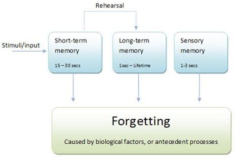 MEMORY LEARNING & IMPROVING CONCENTRATION (UED102) – E-PORTFOLIO