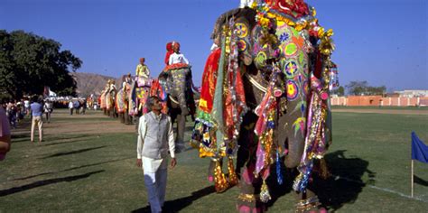 Elephant Festival Jaipur – Tours and Travel