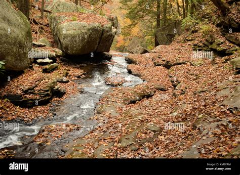 Fall colors at Cloudland Canyon State Park Stock Photo - Alamy