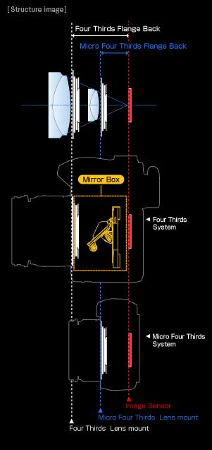 Everything You Need to Know About Micro Four Thirds