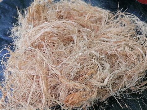 Coconut Husk fiber 100% Natural Soil less FREE SHIPPING | Etsy