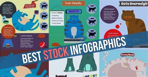 Best Stock Infographics for Marketing - Full Resource List