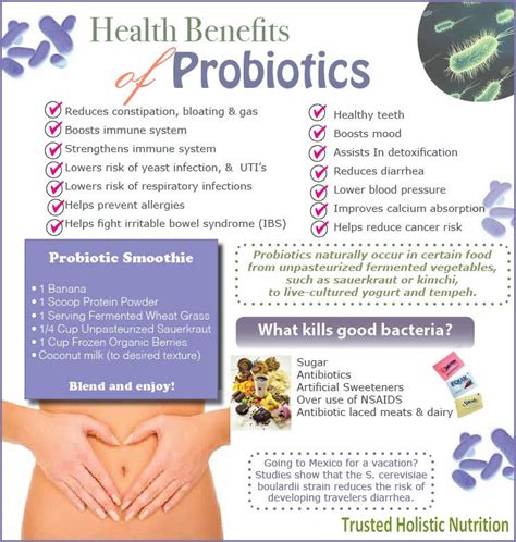 Benefits of probiotic and a great smoothy to support your healthy gut flora. | Holistic ...