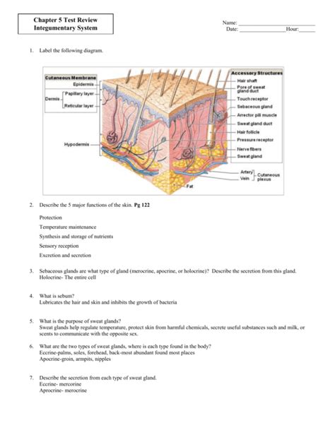 Label a diagram of the skin - Mrs. Sanborn's Science Class