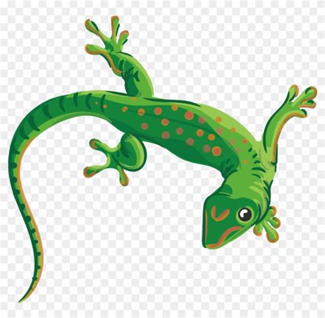 Download High Quality lizard clipart gecko Transparent PNG Images - Art Prim clip arts 2019