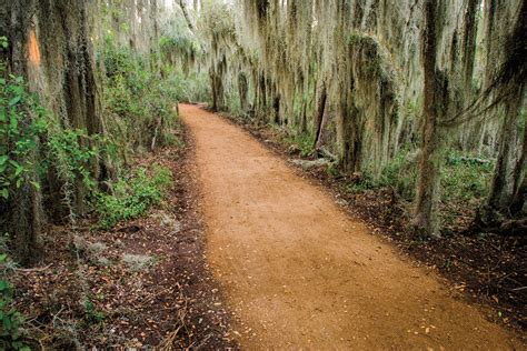 Spanish Moss and Tranquility in Santa Ana National Wildlife Refuge