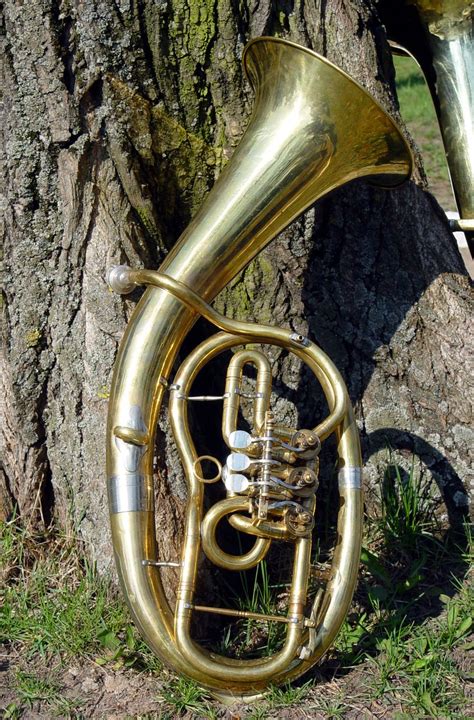 wind-instrument Free Photo Download | FreeImages