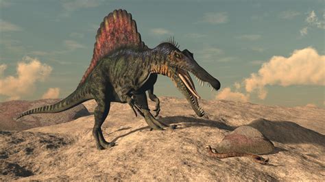 Facts About the Spinosaurus That'll Make Your Head Spin - Animal Sake