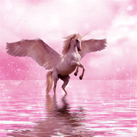 🔥 Free Download Wallpaper Unicorn Wings Horse Fantasy Ipad by @stacyberger | WallpaperSafari