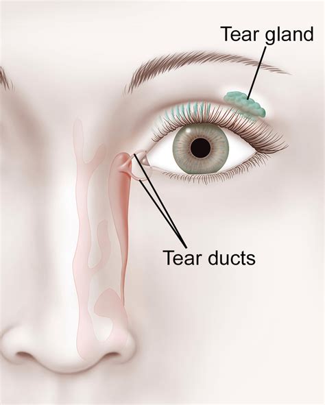 How To Clear A Blocked Tear Duct At Home - Grizzbye