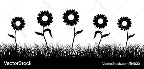 Sunflower on field black silhouette Royalty Free Vector