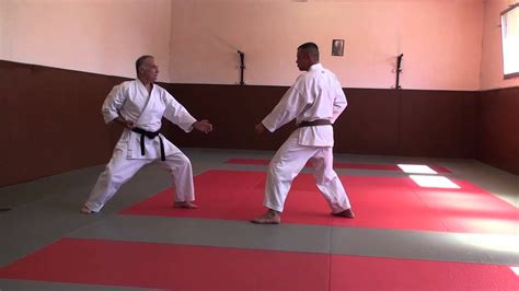 HEIAN NIDAN - Bunkai - Préparation passage de grade 1 er dan. - YouTube