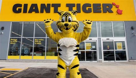 Giant Tiger - Newmarket Plaza