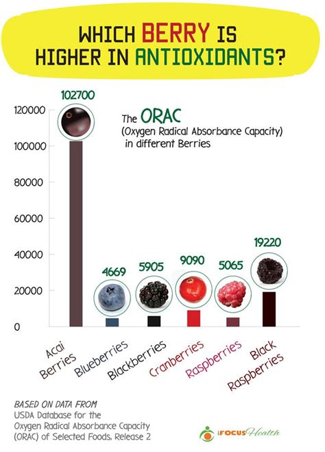 The Top 7 Benefits of the Acai Berry for Health