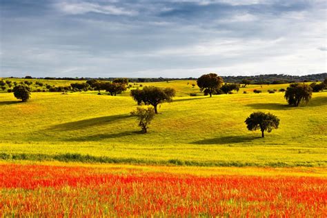 Alentejo a journey through history, tradition and gastronomy. | GENUINE