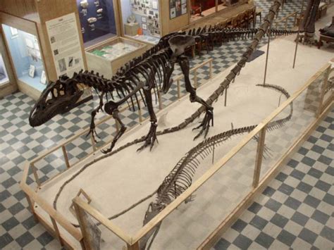 Dino Trip 2003 - Laramie Museum - Allosaurus