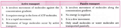 Chart Comparing Passive And Active Transport