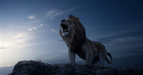 The Lion King Roar GIF by Walt Disney Studios - Find & Share on GIPHY | Lion king pictures, Lion ...