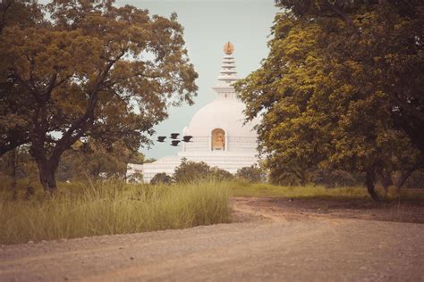 The birth place of Gautam Buddha 3331211 Stock Photo at Vecteezy