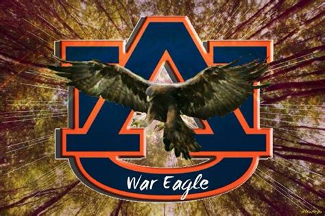 War Eagle | Sports | Pinterest