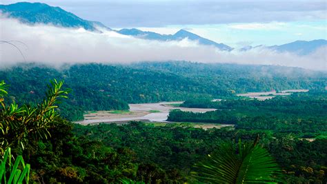 Destination Of The Week: Manu National Park, Peru | Features | Escapism ...