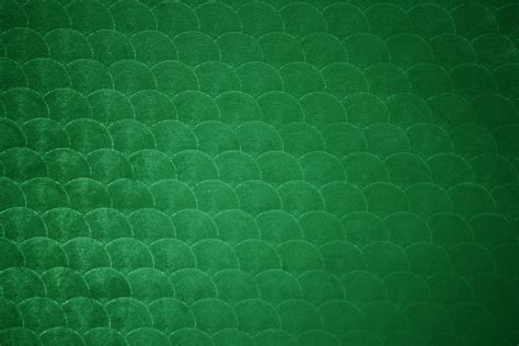 Forest Green Circle Patterned Plastic Texture Picture | Free Photograph | Photos Public Domain