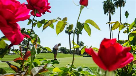 Major changes to Wigwam golf courses in Litchfield Park proposed